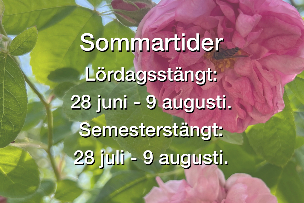 sommartider mammut
